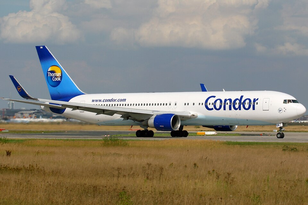 Condor logo