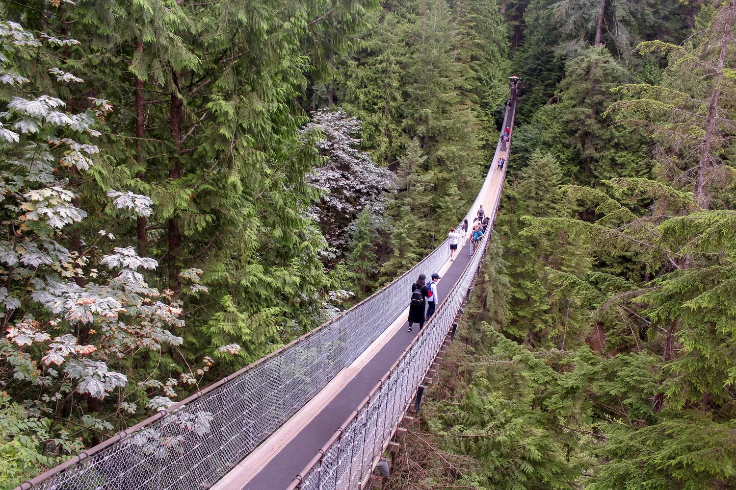 Capilano Suspension Bridge attraction in Vancouver