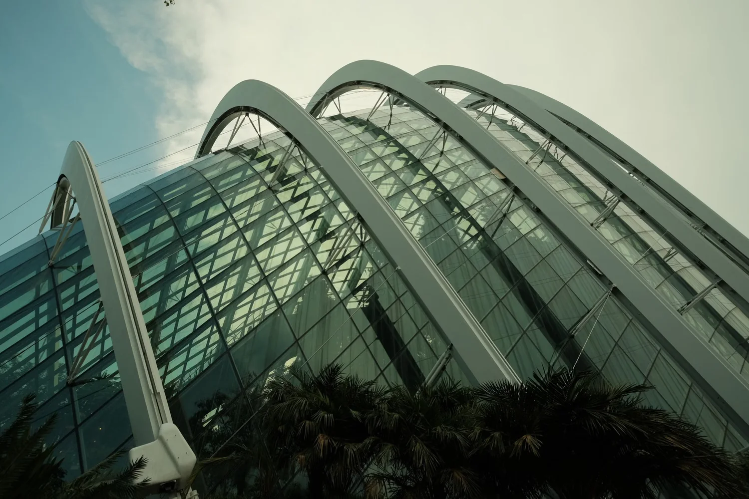 Gardens by the Bay attraction in Singapore