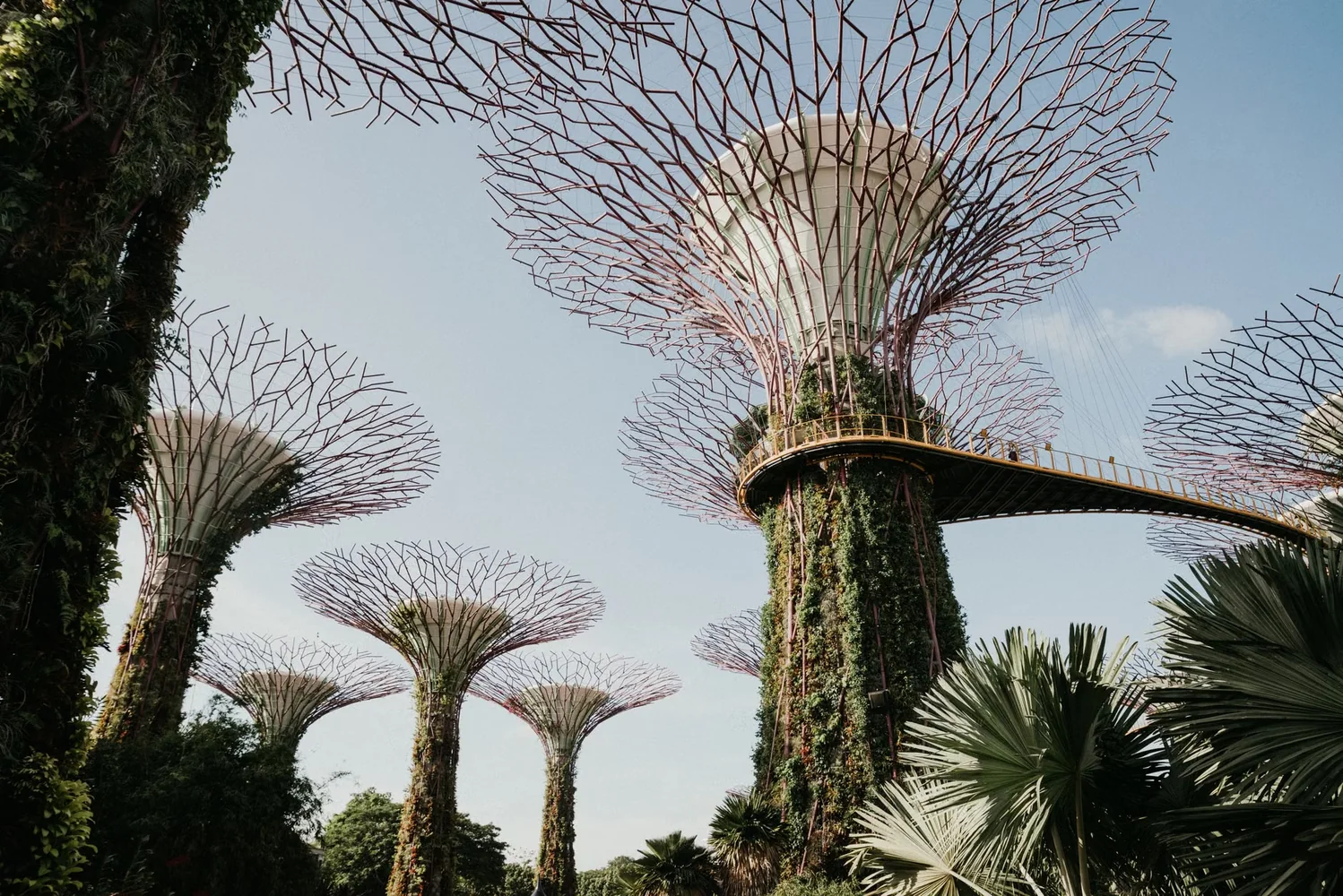 Singapore Botanic Gardens attraction in Singapore